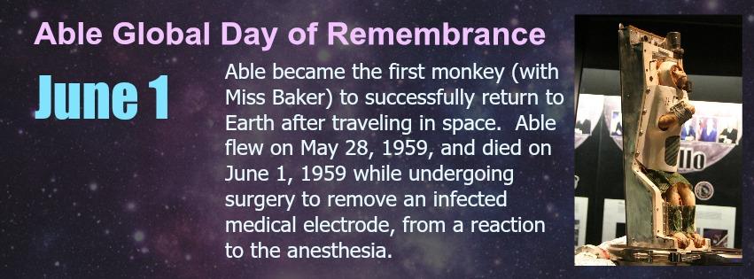 12804363_10156673044295529_493817319_n