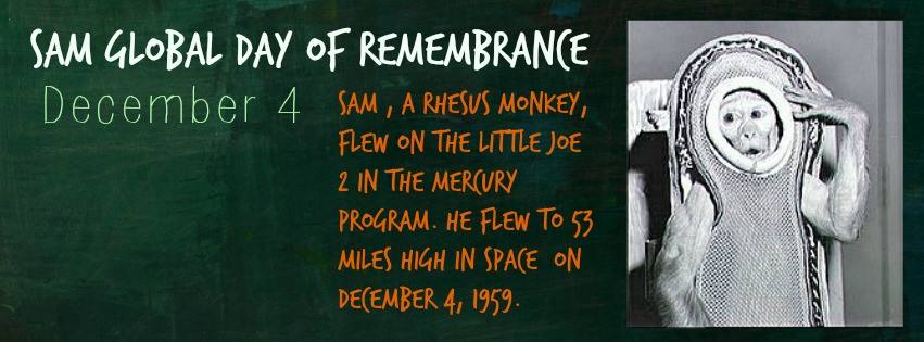 Sam Global day