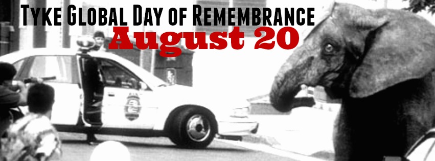 tyke global day