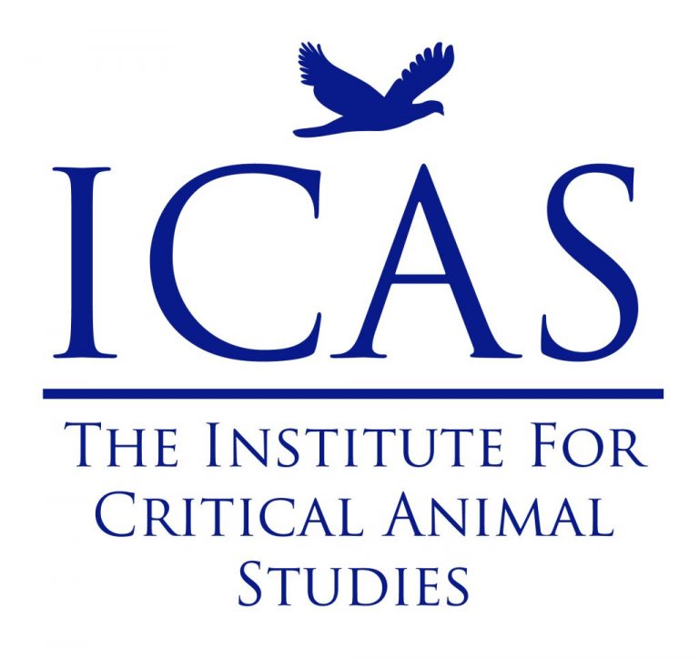 icas black and white logo