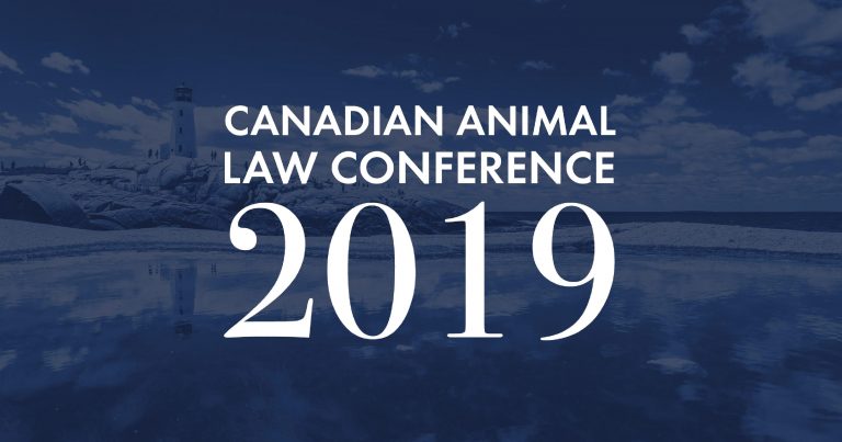 295347_564c9590d10b4c5ba761eb329cc3bd8b~mv2_d_3334_1751_s_2